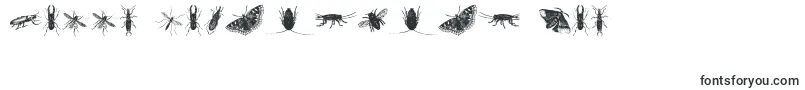 InsectsOne-Schriftart – Schriften zum Valentinstag